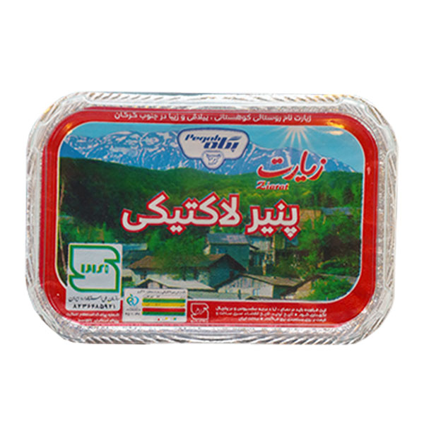 پنیر لاکتیکی زیارت 300 گرمی پگاه