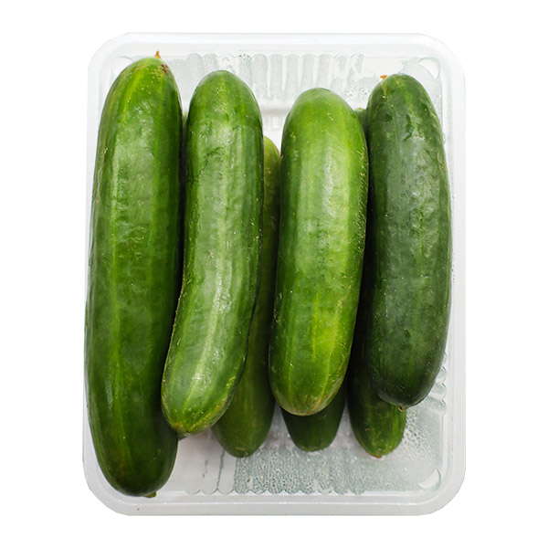 خیار بسته 1 کیلوگرمی