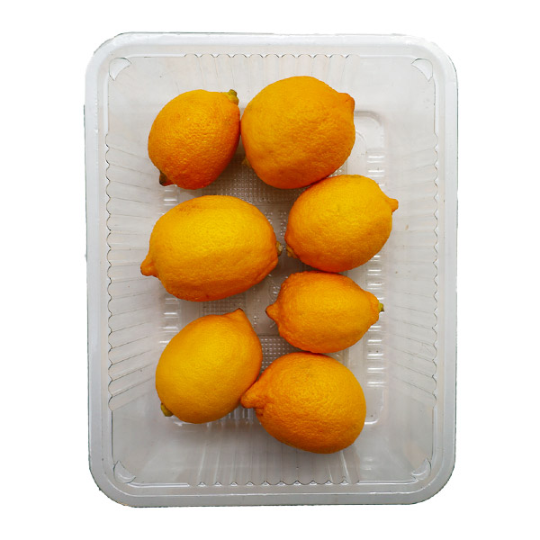 لیموترش سنگی بسته 1 کیلوگرمی