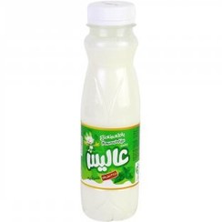 دوغ نعنا 275 گرمی اسلیو آلیس